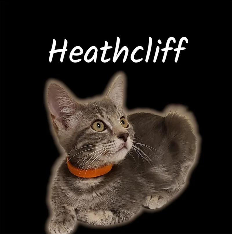 Heathcliff