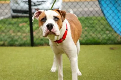 Kingston thumbnail 2