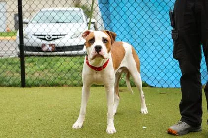 Kingston thumbnail 3