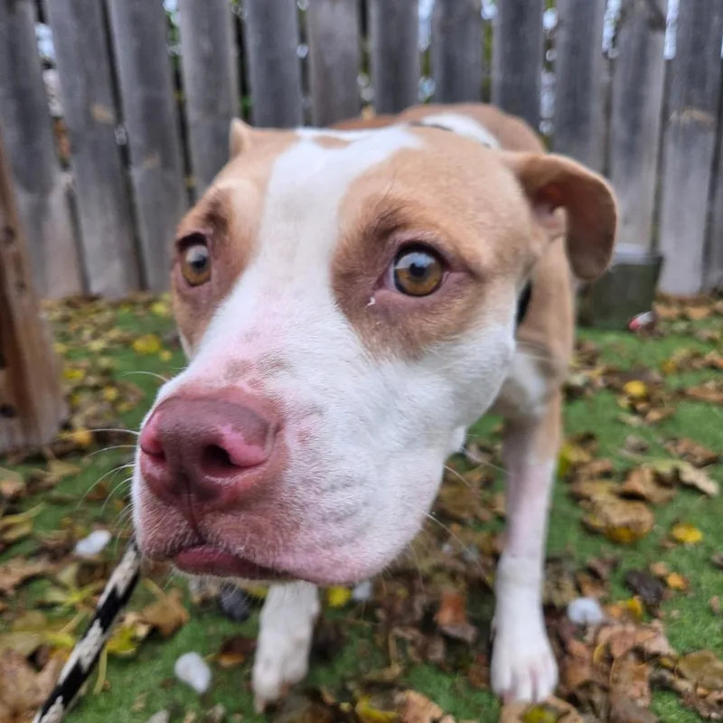 Little Baebae thumbnail 2