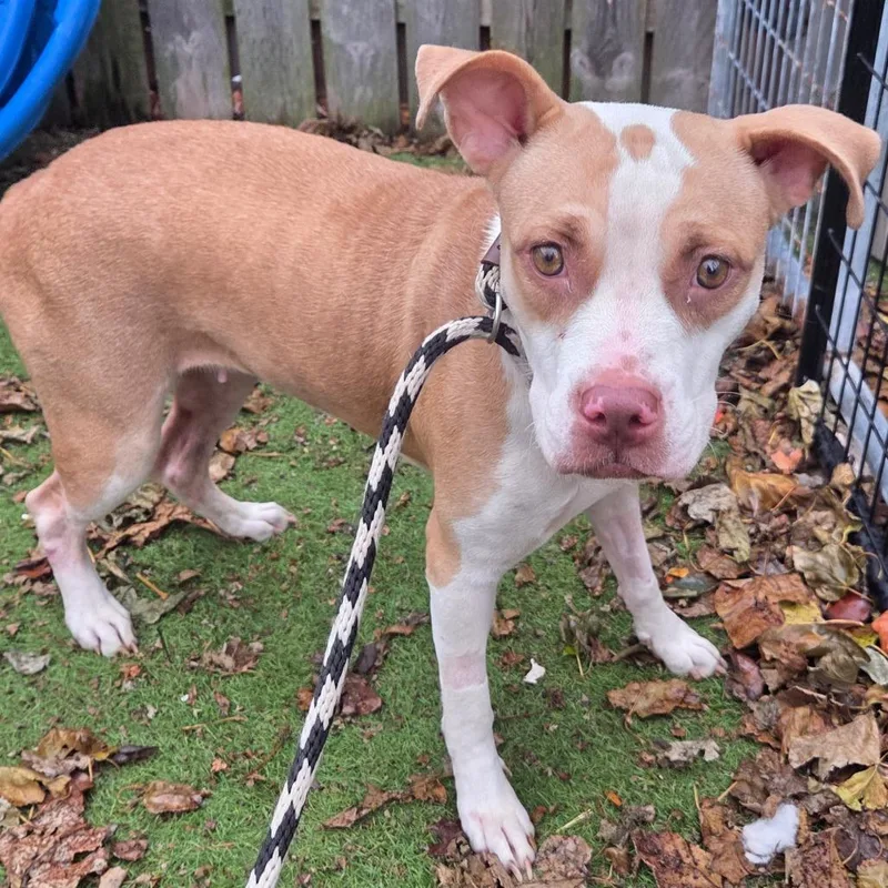 Little Baebae thumbnail 3