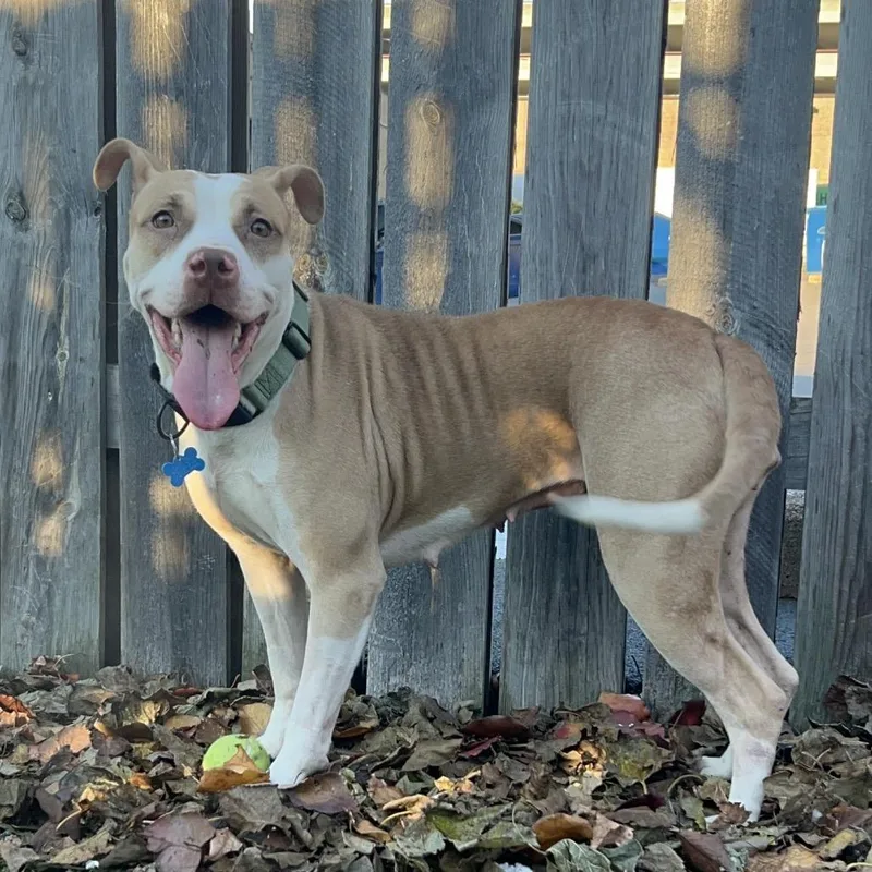 Little Baebae thumbnail 4