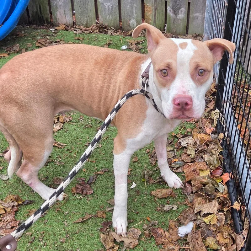 Little Baebae thumbnail 6