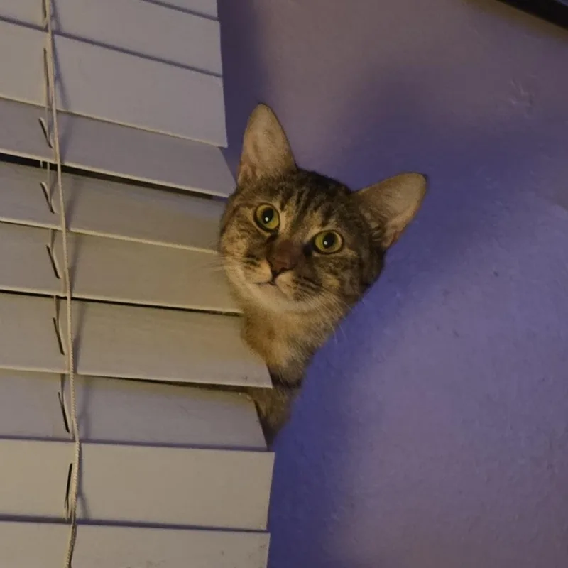 Honey thumbnail 2