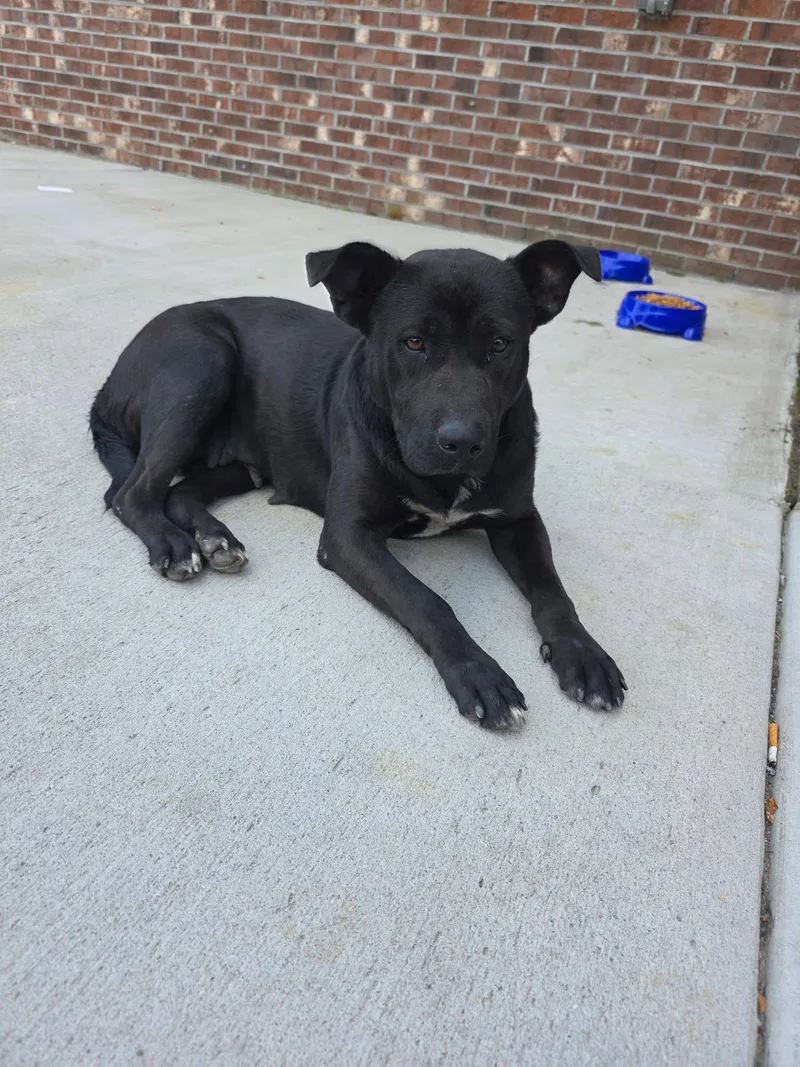 Remy Former Dollar General thumbnail 2