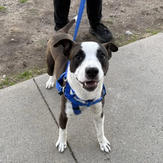 Max