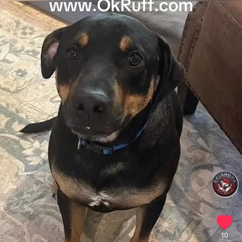 Skittles thumbnail 2