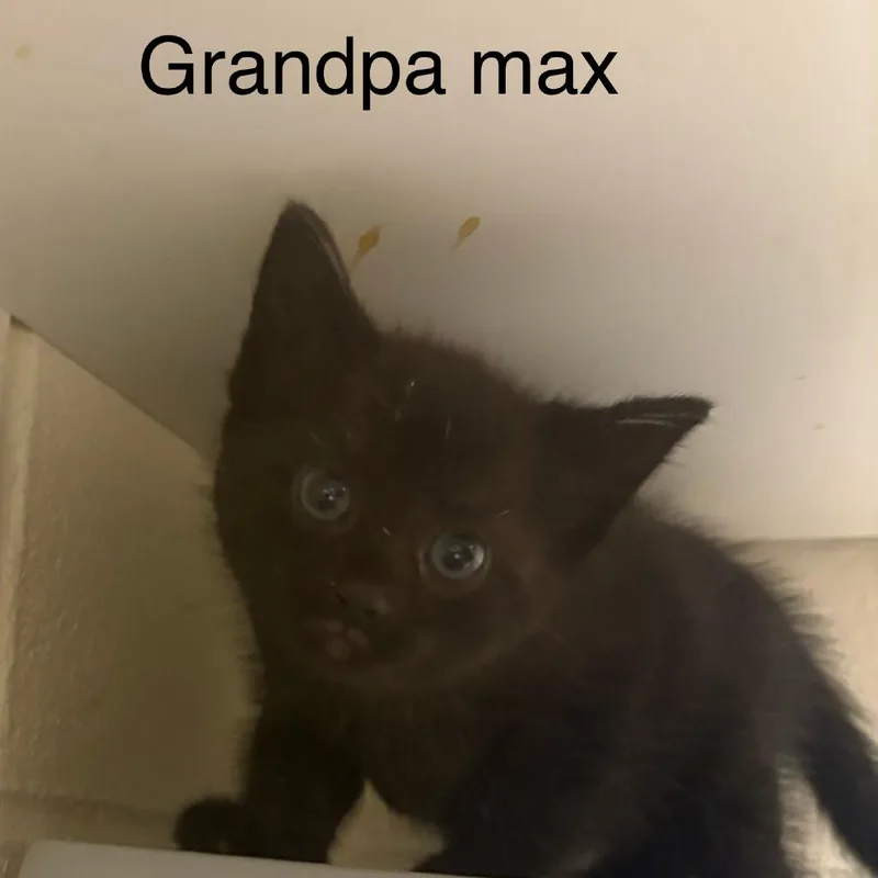 Grandpa Max