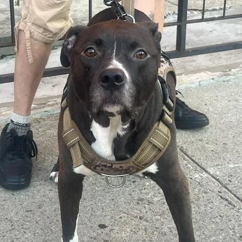 Baby Jojo thumbnail 2