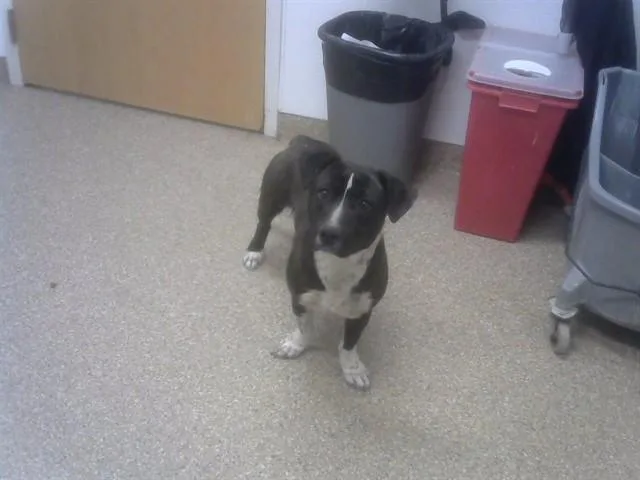 Mr.handsome