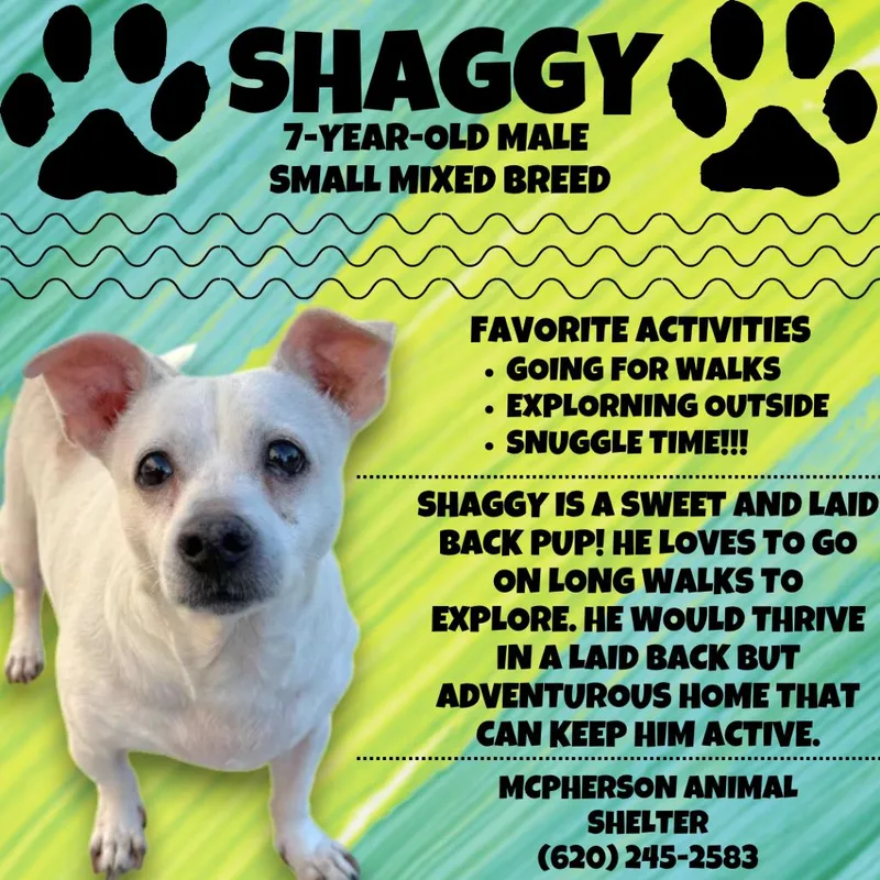 Shaggy thumbnail 3