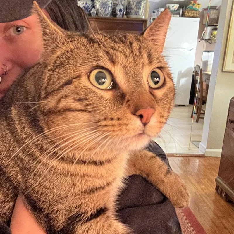 Guinness Coming In thumbnail 2