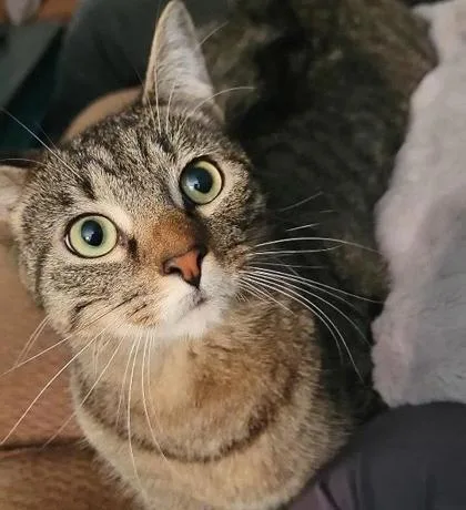 Eeyore Yr+ thumbnail 2