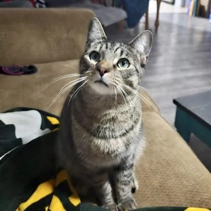 Eeyore Yr+ thumbnail 3