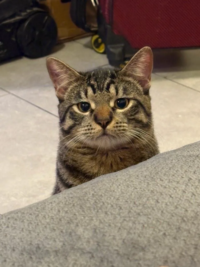 Milo