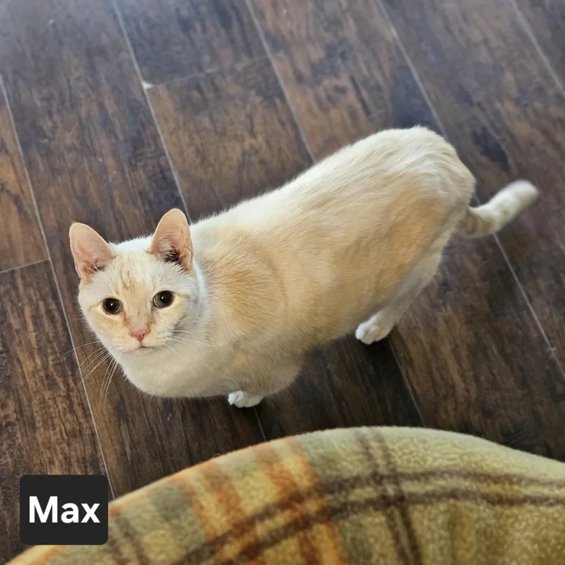 Max