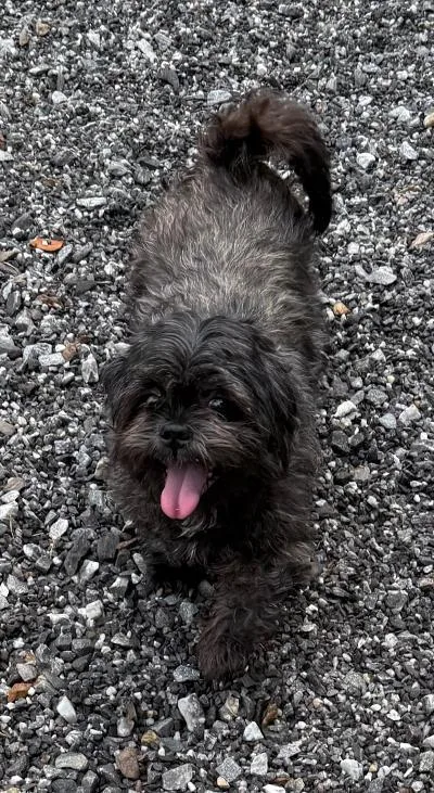 Maggie Elaine