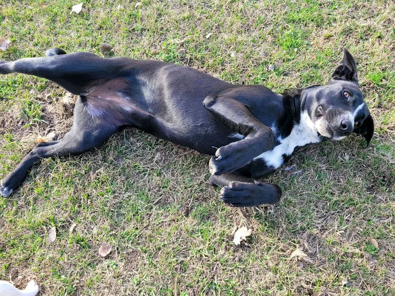 Miss Gladden thumbnail 2