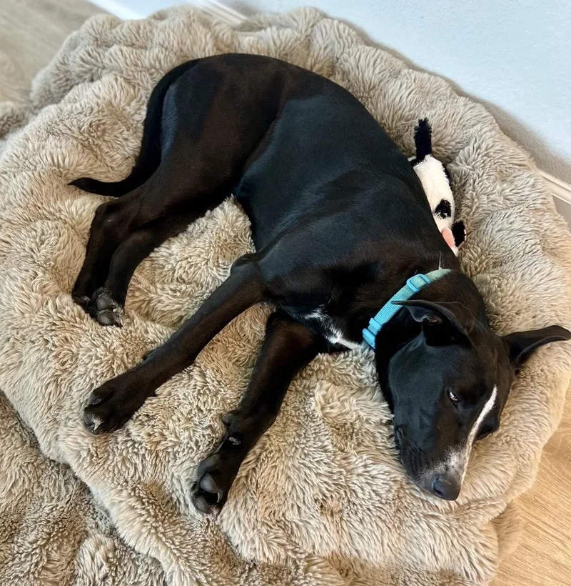 Miss Gladden thumbnail 3