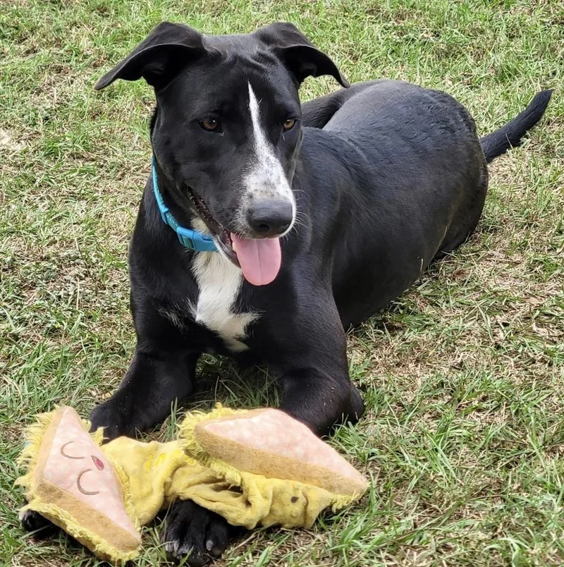 Miss Gladden thumbnail 5