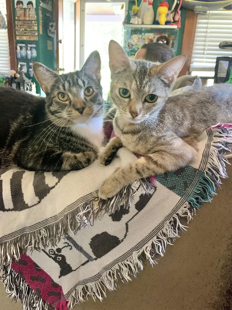 Arya & Winston thumbnail 3