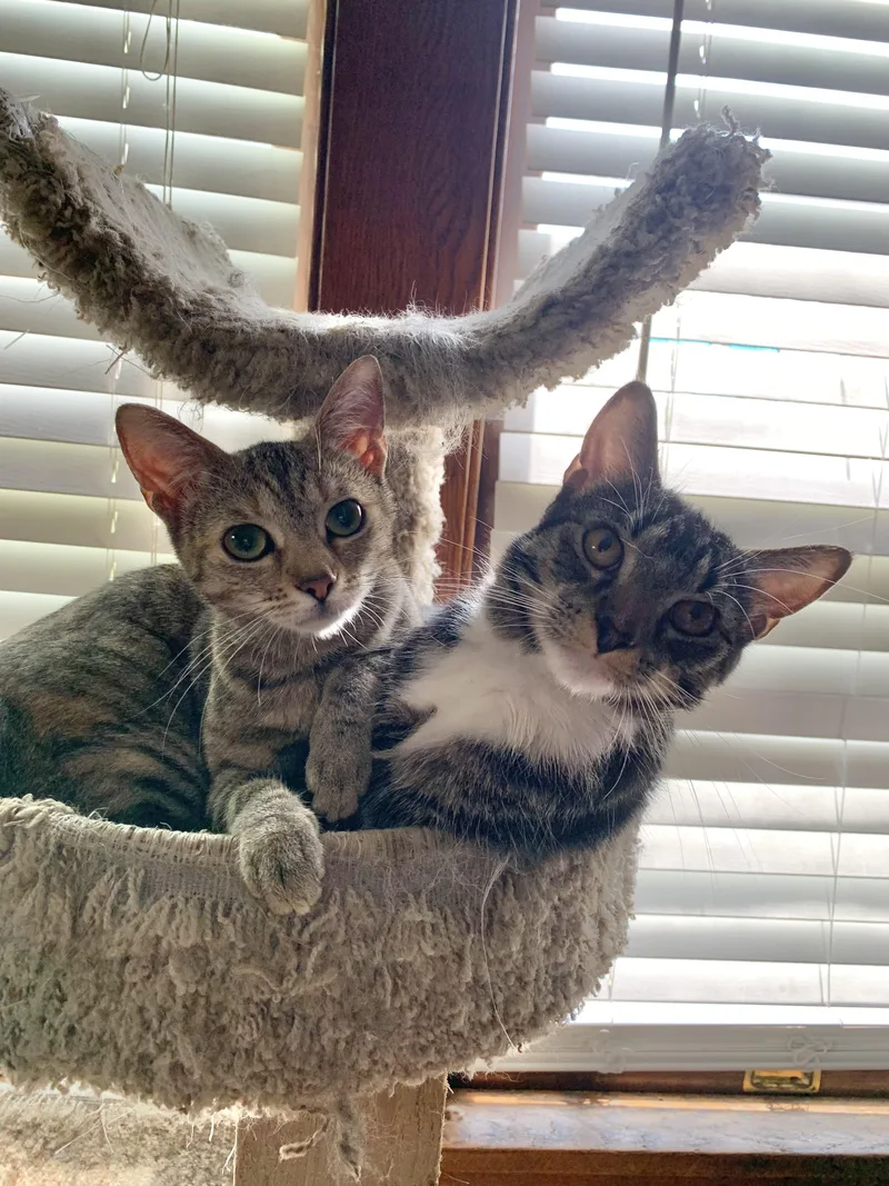Arya & Winston thumbnail 4