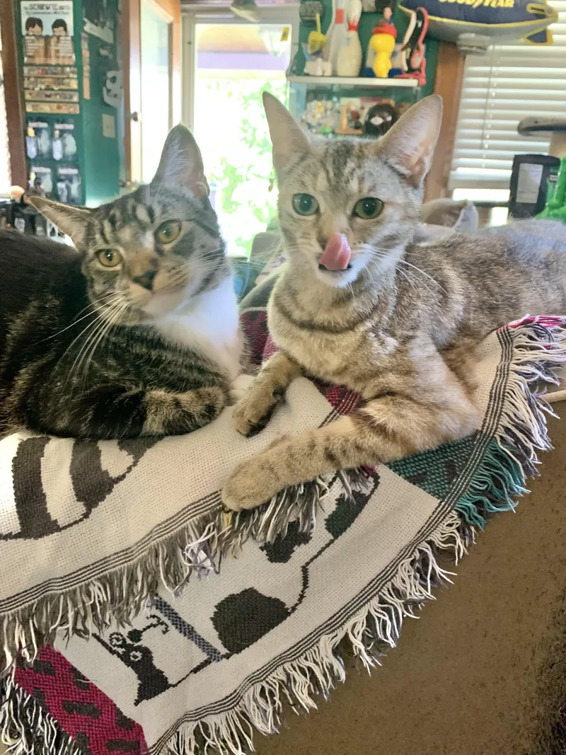 Arya & Winston thumbnail 5