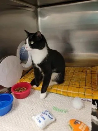 Nibbler thumbnail 2