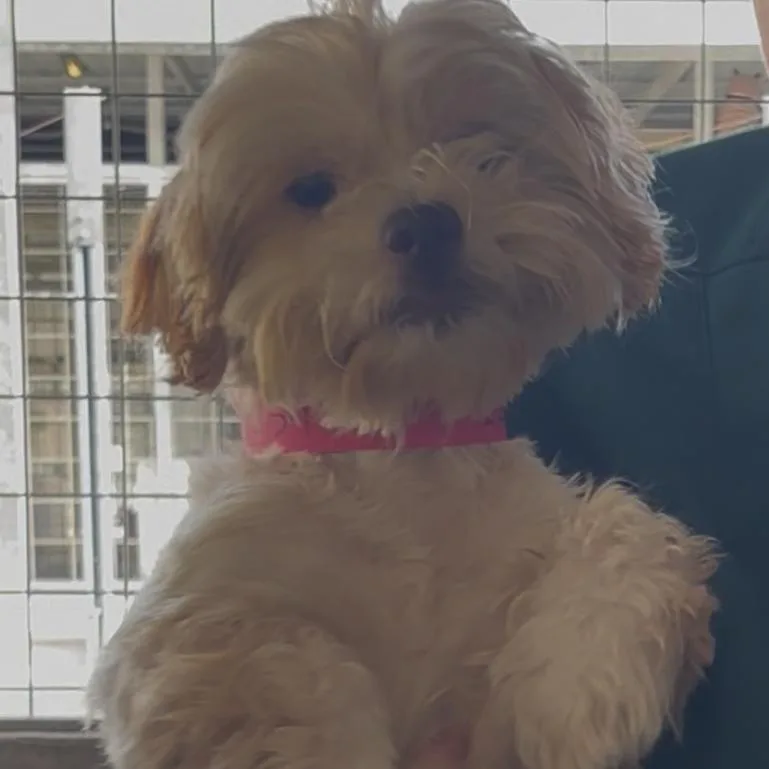 Teagan A thumbnail 3
