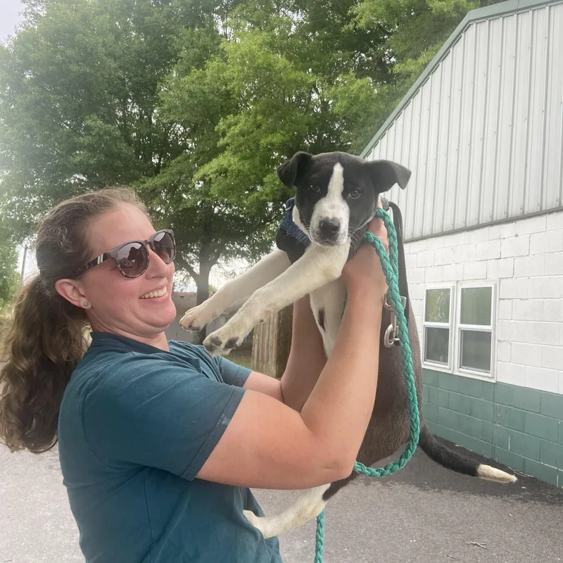 Reggie Dolittle thumbnail 5