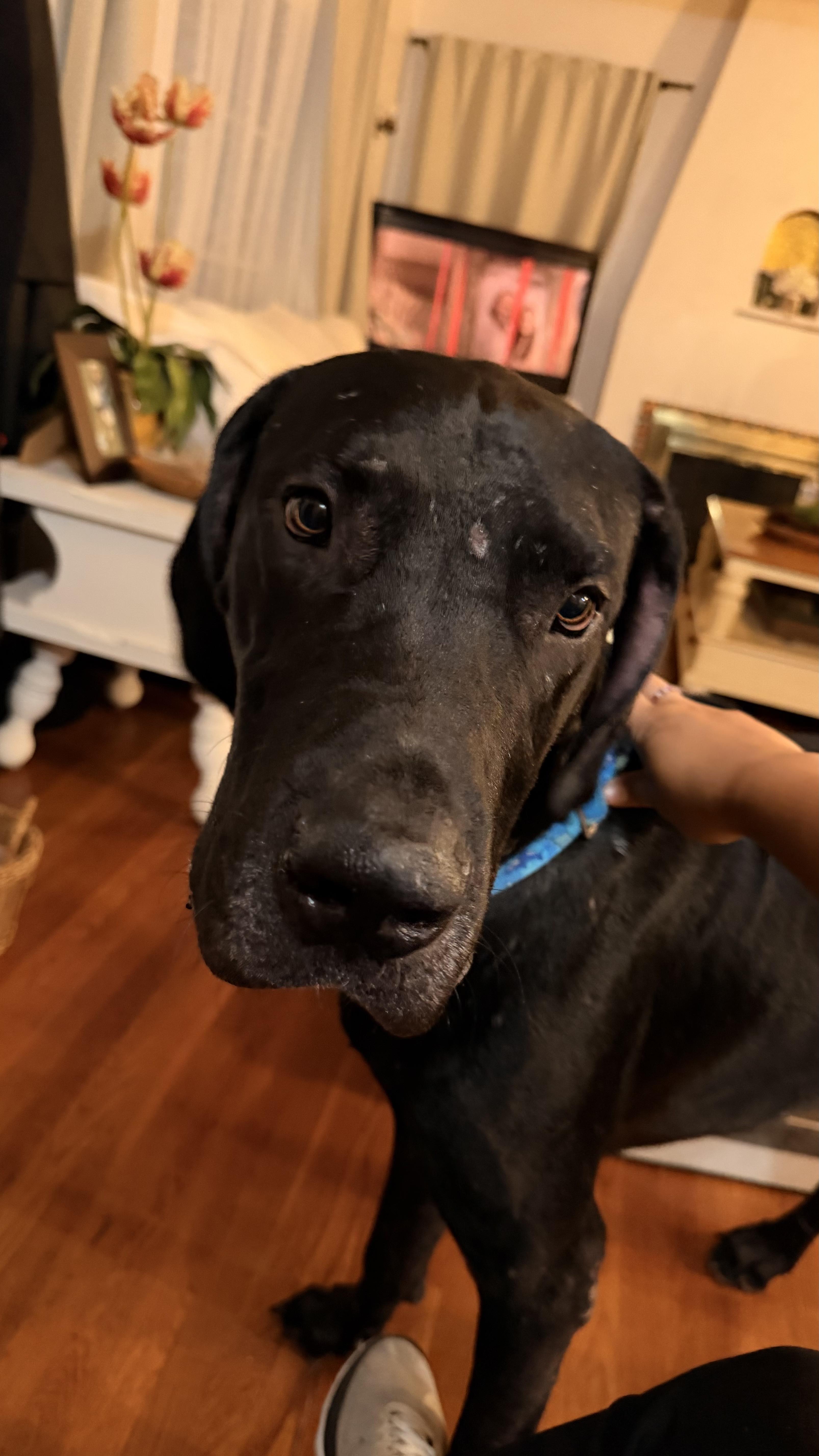 Winston