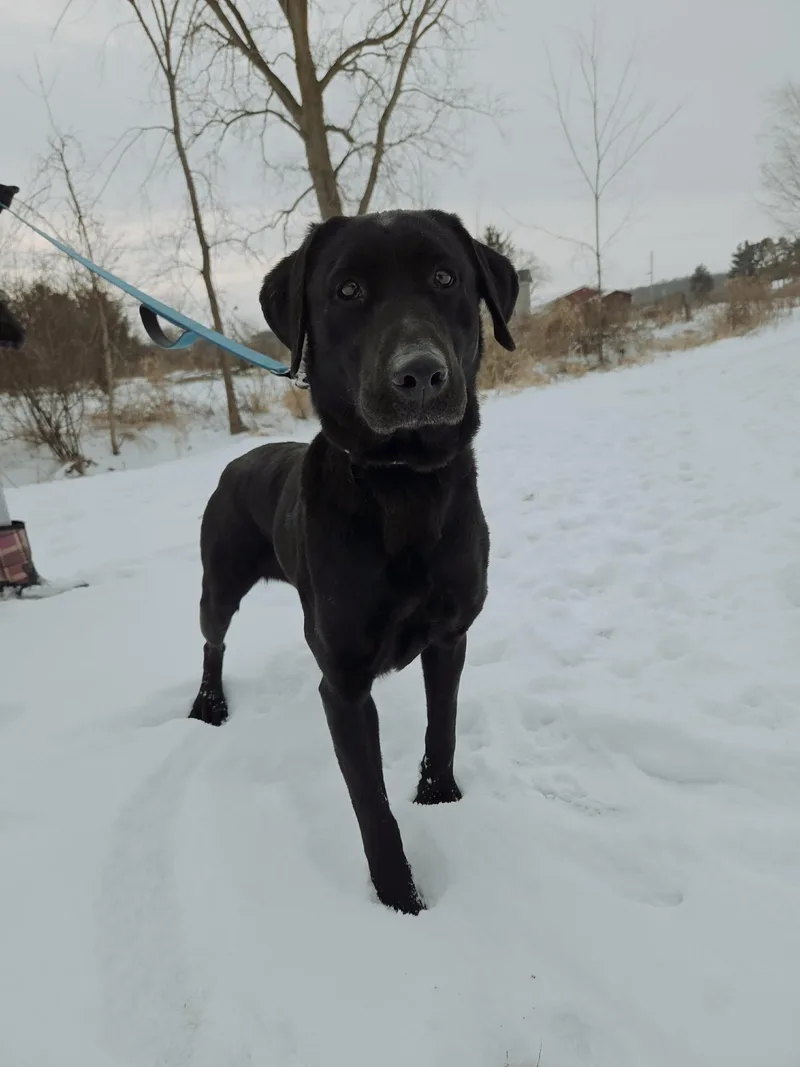 Bixleynot Accepting Applications Yet! thumbnail 4