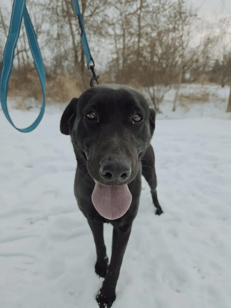 Bixleynot Accepting Applications Yet! thumbnail 5