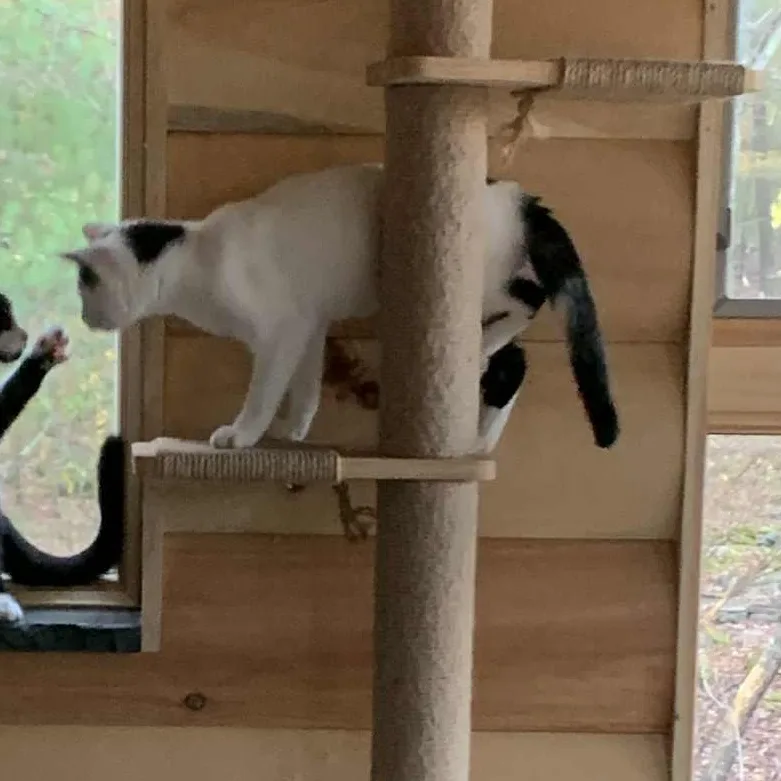 Precious thumbnail 2