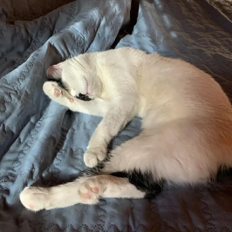 Precious thumbnail 3