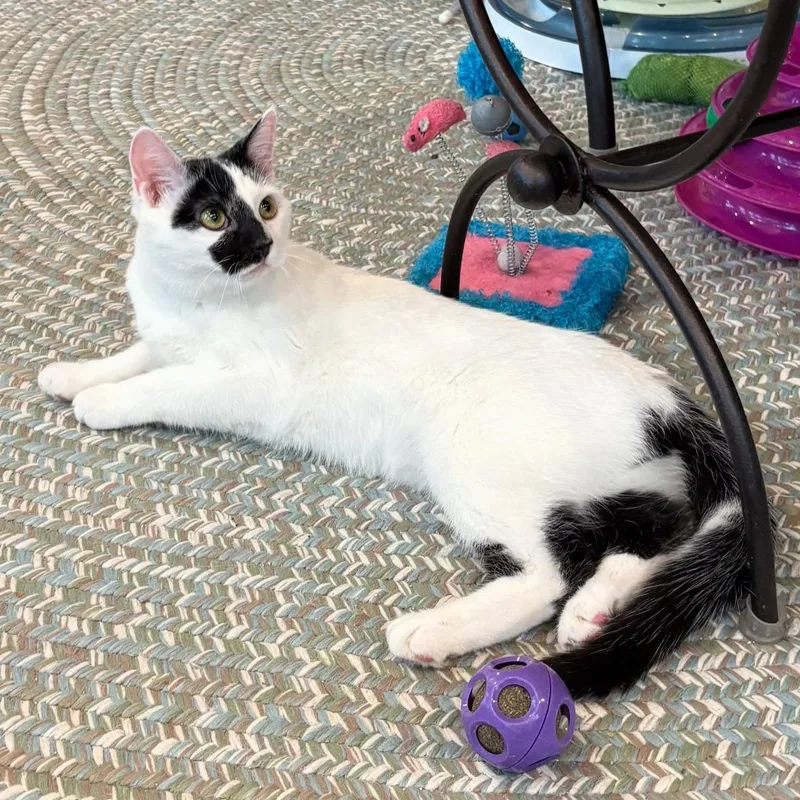 Precious thumbnail 4