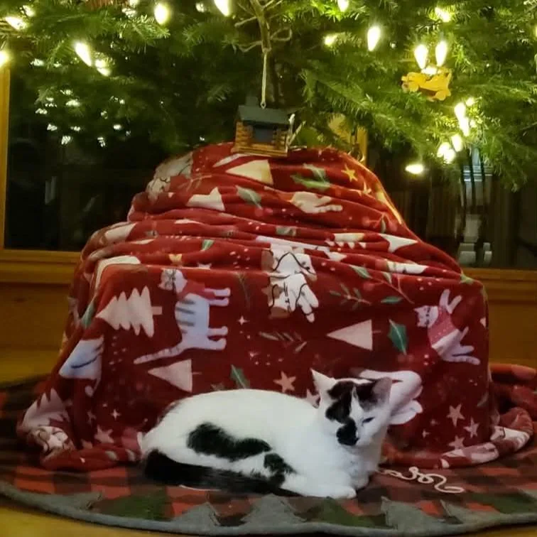 Precious thumbnail 5