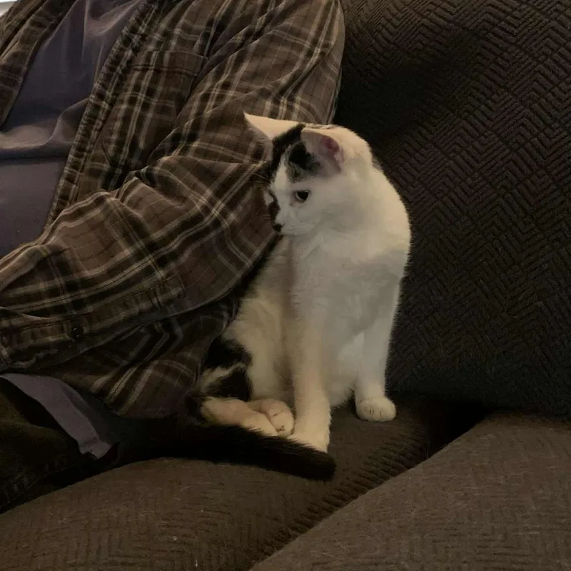 Precious thumbnail 6