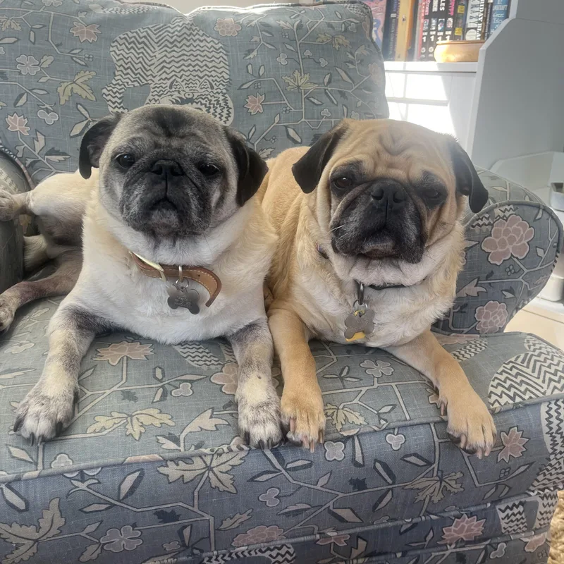 Jim Gaffigan And Patton