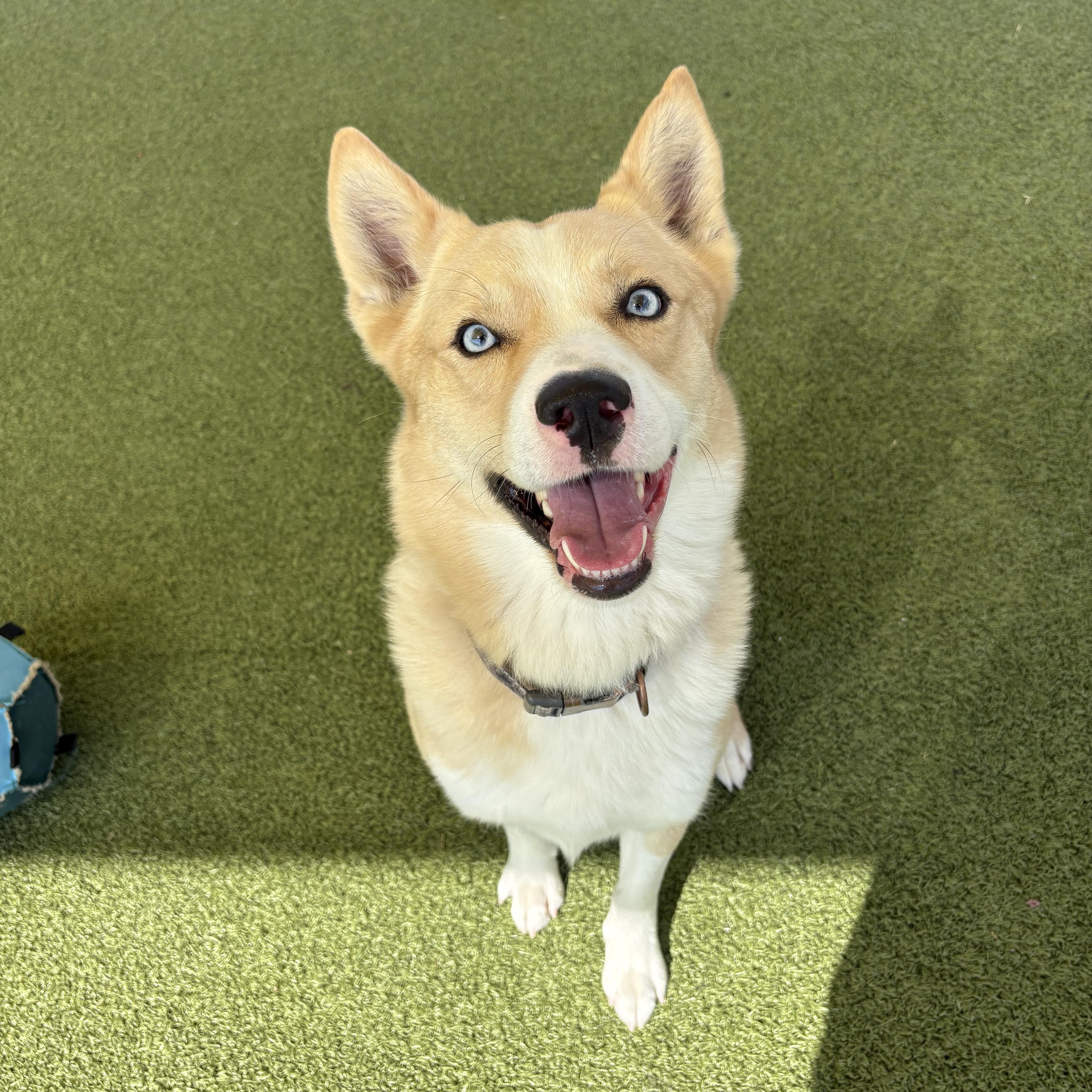 Meeka thumbnail 2