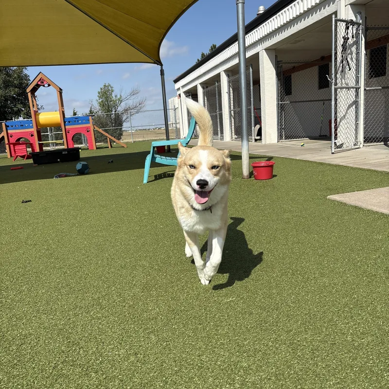 Meeka thumbnail 6