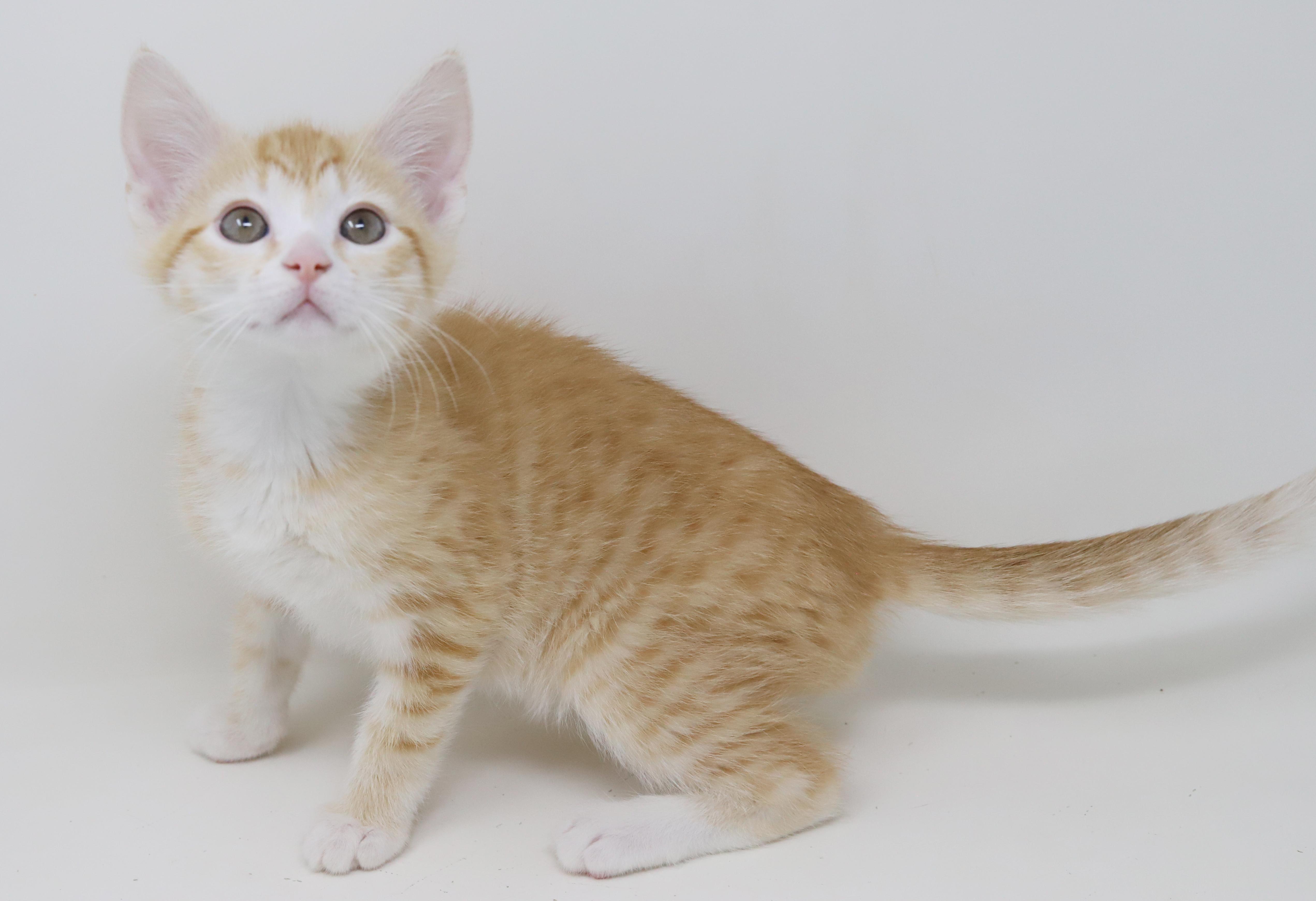 Hereee'ssss Herbie!  Our thumbnail 2