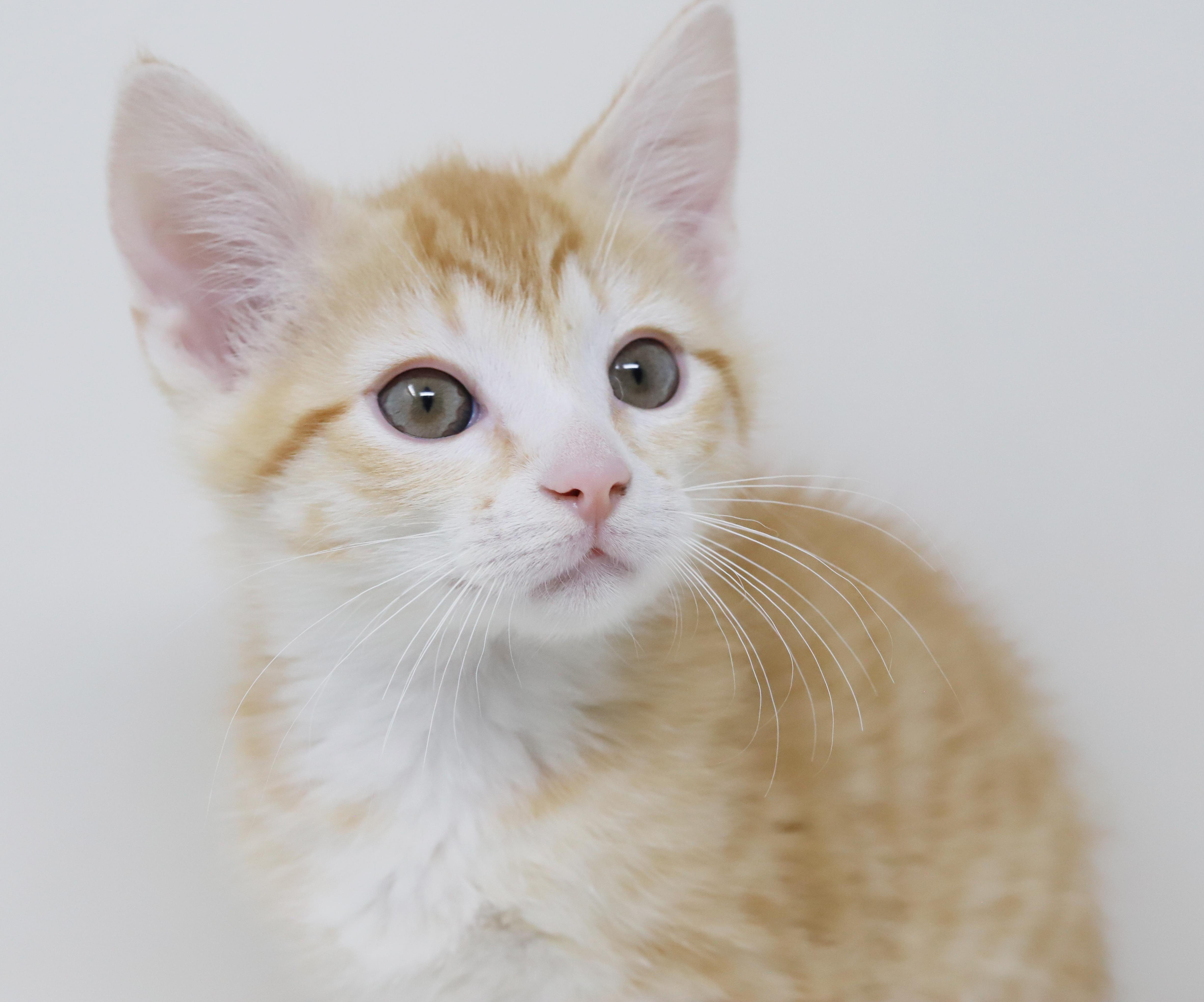 Hereee'ssss Herbie!  Our thumbnail 3