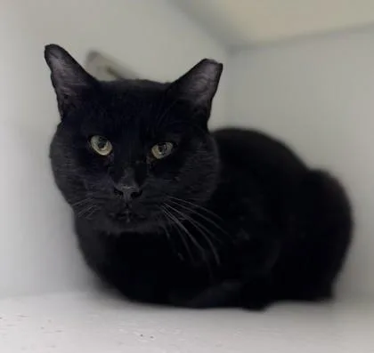 Bread Crumbs thumbnail 2