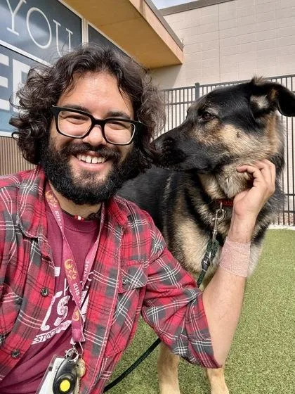 An adult extra large-sized male Black Mixed Breed dog named Deku for adoption in Wichita, KS