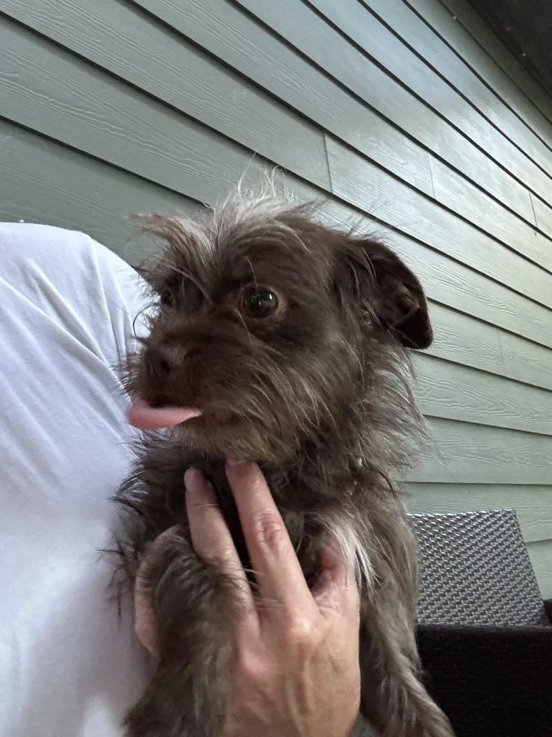 Abby thumbnail 2