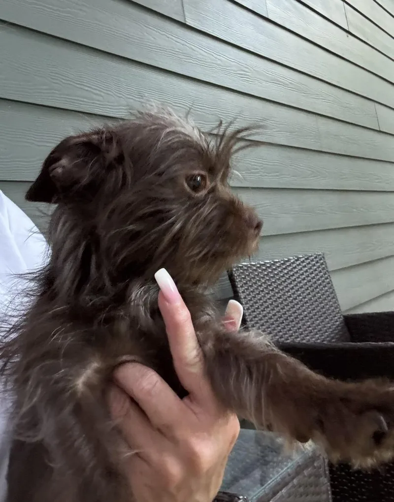 Abby thumbnail 5