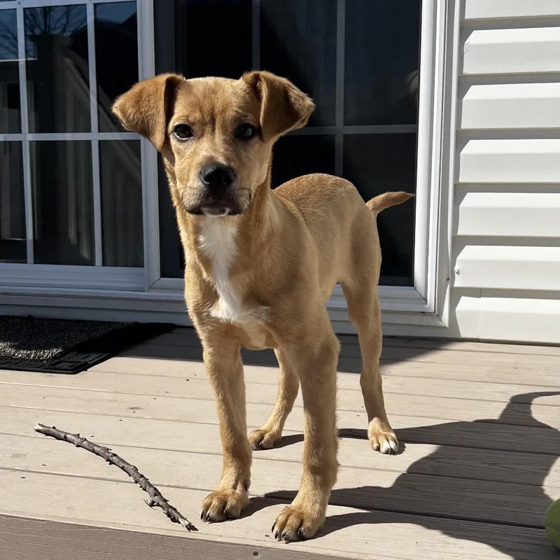 Nytewalker thumbnail 2