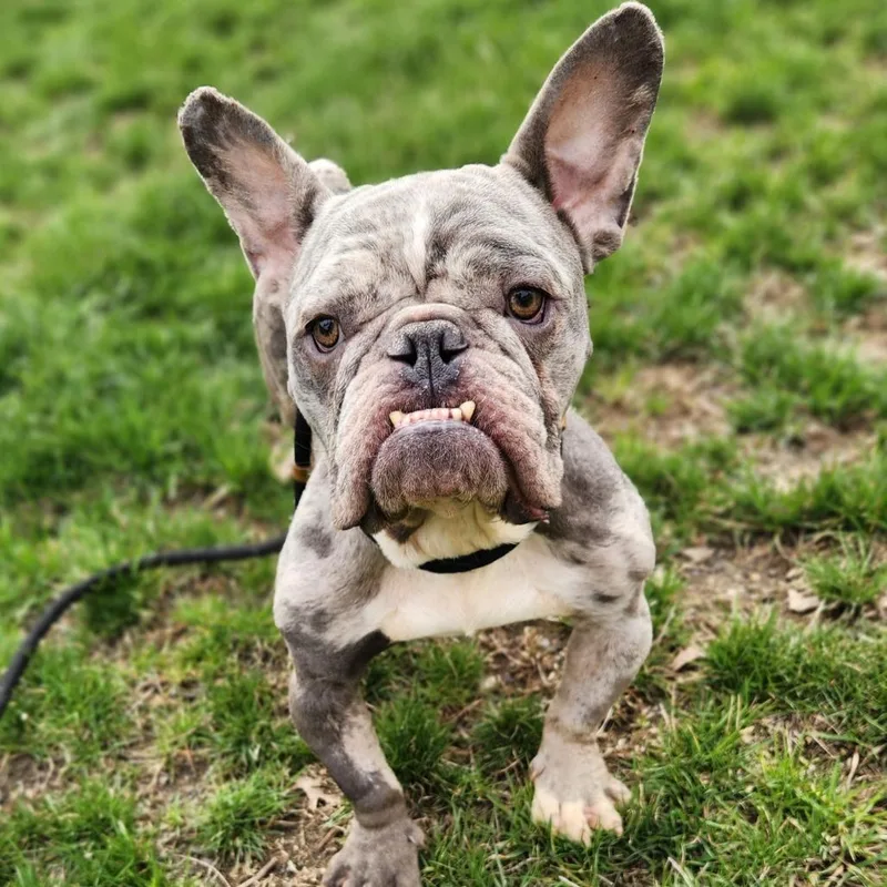 Sprinkles thumbnail 2