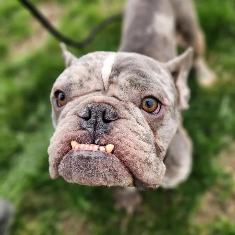 Sprinkles thumbnail 3